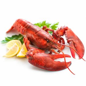 Red Lobster Totally Fresh and Organic