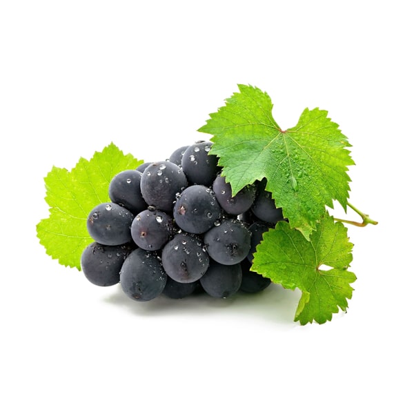 Fresh Fruit Sapodilla Organic USA 100g